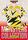 Electabuzz No 125 Red Version Carddass Monsters Collection 