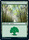 Forest 077 078 Jumpstart Singles