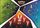 Pokemon Fall 2020 Collector s Chest Cinderance Inteleon Rillaboom Stickers 2 2 