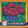  045 Vileplume 1998 Pokemon Flipz Artbox Sticker 
