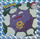 Pr29 Koffing 1998 Pokemon Flipz Artbox Holo Sticker 