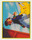 30 Ash Pikachu Merlin Series 2 Sticker 