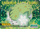 Shaymin No 492 2008 Bandai Japanese Card Bandai Cards