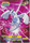 Lugia 314 Pokemon Bromides Diamond Pearl Gum Card 