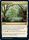 Thriving Grove 268 Adventures in the Forgotten Realms Commander Singles