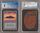 Island Orange Yellow Sky CGC 8 NM Mint Land Alpha 6016 