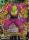 Piccolo Guardian of Earth BT18 065 Super Rare Foil Dawn of the Z Legends Foil Singles