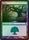Forest 264 264 Foil Innistrad Foil Singles
