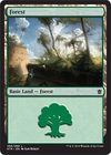 Forest 266 269
