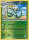 Serperior (5/114) (Cracked Ice Holo) (Theme Deck Exclusive) [Black & W –  High Tide Games