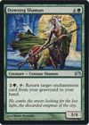 Dowsing Shaman